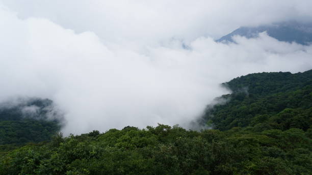 istock Mount Fanjing, Guizhou, China 2194909136