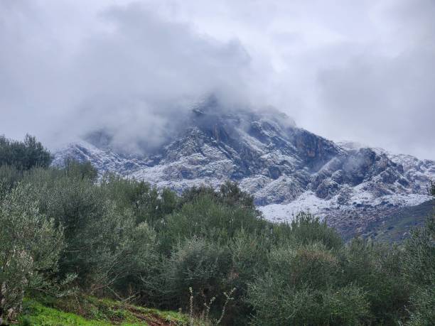 Misty Mountain with Snow and Greenery