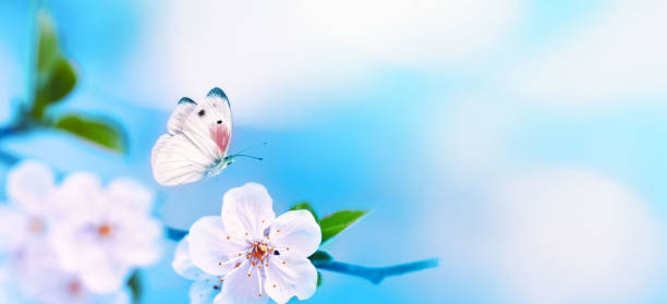 istock Bright beautiful macro photo on a spring theme. 2194911001