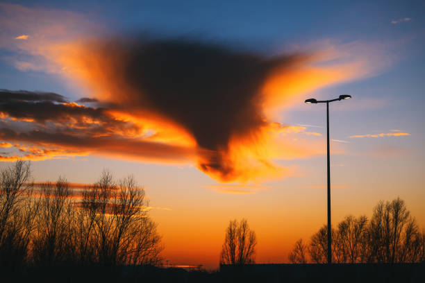 Winter sunset landscape, back lit bare trees and strange cloud at the sky, selective focus