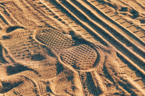 Footstep imprint and tire track tread marks in dust and sand, selective focus