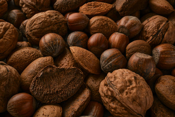 Close up of a group of nuts in their shells, Brazil nuts, Almonds, Hazelnuts & Walnuts.