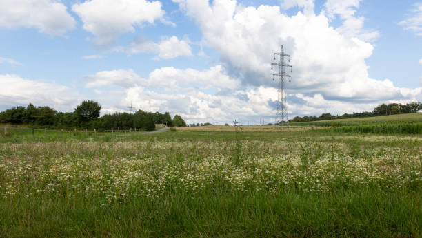 istock A tall power pole stands in a field with a cloudy sky in the background 2194914255