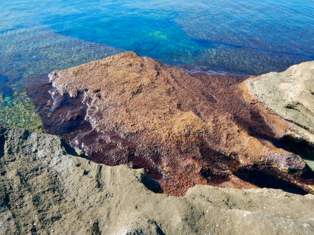 istock Rocky shore of the Caspian Sea. 2194917336
