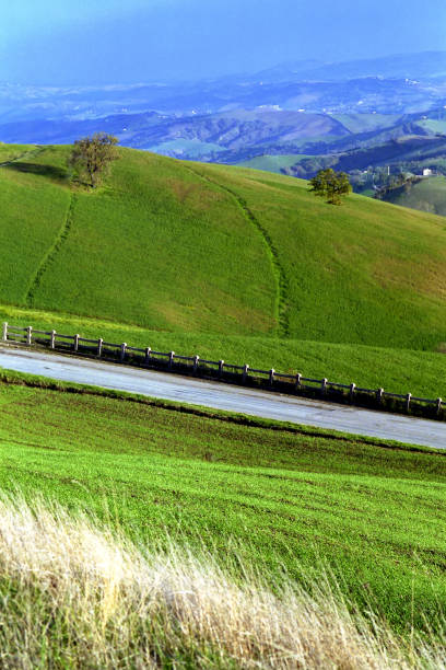 green fields crossed by an asphalt road against the sky