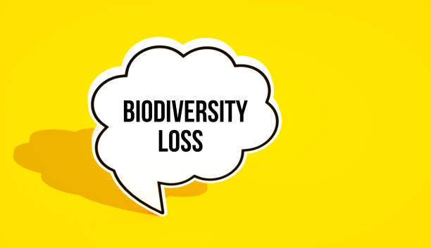 istock Biodiversity Loss concept message written on speech bubble. Yellow background. 2194923456