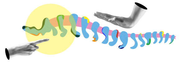 Artistic representation of human spinal column with colorful abstract elements and hands. Medical and anatomical themes. Conceptual art design.