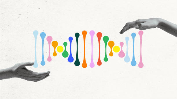 istock Abstract colorful DNA helix held by two hands, symbolizing genetics, biology, and advancements in medical research. Conceptual art design. 2194926926