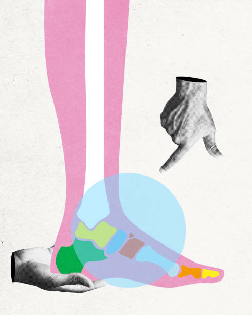 Stylized illustration of foot with highlighted anatomical bones, supported by hand. Orthopedic care themes. Conceptual art design.