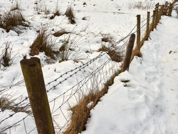 istock Snow-covered rural landscape with a barbed wire fence. 2194927227