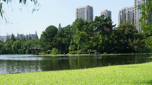 istock Hangzhou Cityscape, Zhejiang, China 2194928132