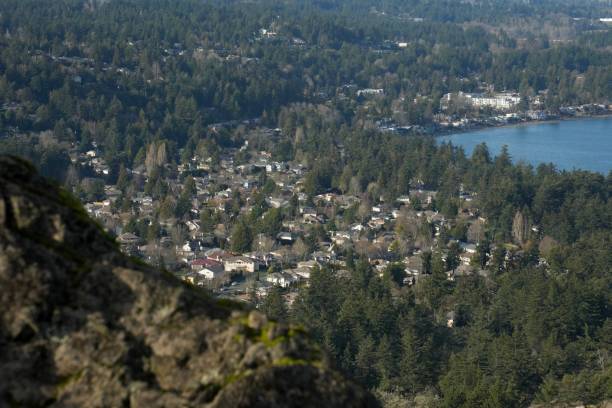 istock Landscape of a city 2194928432