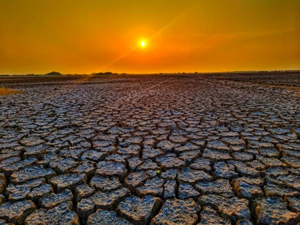 istock Dry and cracked soil landscape 2194928760