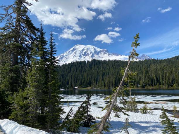 istock Mount Ranier with snow, lake and trees 2194929812