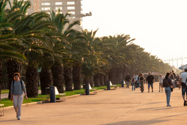 Batumi Walking Boulevard with a path lined with trees, palm trees and benches. People are sitting on the benches, passers-by are walking in the distance. The sun is shining