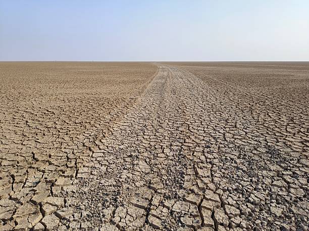 Jeep track at little rann of katch, Gujarat, India