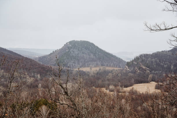 istock This picturesque view features a stunning mountain range where lush trees can be observed in the foreground, beautifully complementing the majestic mountains located in the background 2194930661