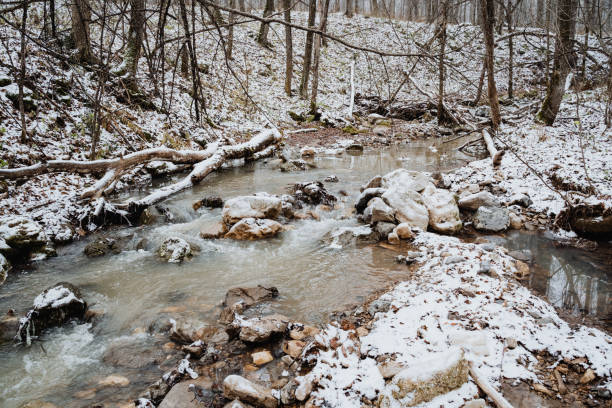 istock A beautiful, tranquil stream flowing gently through the woods, surrounded by a serene landscape adorned with a pristine blanket of snow covering the ground, creating a picturesque scene 2194930678