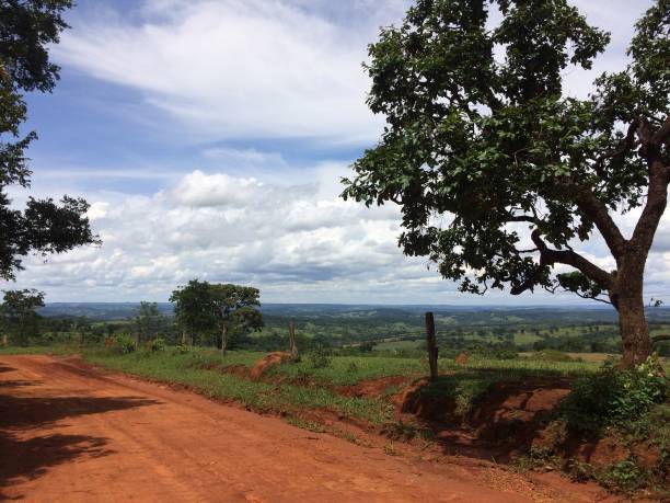 istock Cerrado nature landscape 2194932467