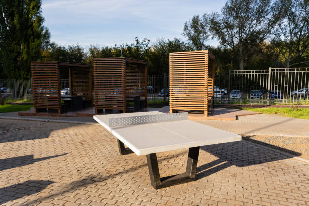istock A lively park features a smooth brick sidewalk leading to a vibrant ping pong table, inviting all ages to enjoy outdoor play in a cheerful atmosphere filled with laughter 2194932874