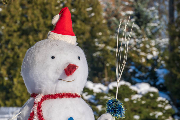 istock Funny snowman in red hat outdoors, close up portrait 2194933464