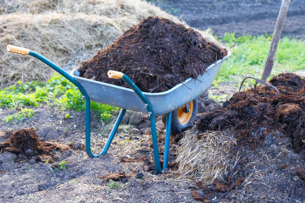 istock full garden cart with humus 2194935264