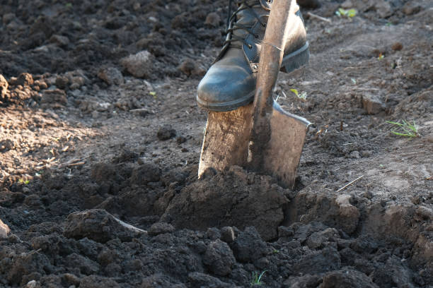 istock Cultivation, digging soil with a garden shovel 2194935265