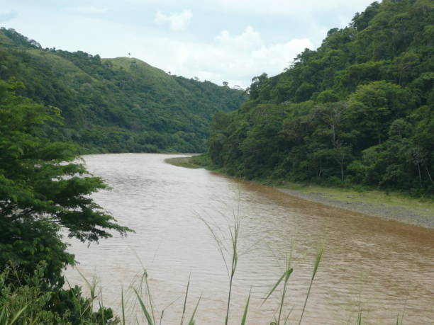 istock Riverside in Costa Rica 2194935686