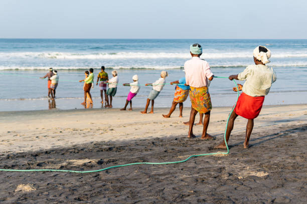 Kovalam, India - May 8, 2024: Traditionally dressed Indian fisherman pulling together a fishing net back to the shore at the beach in Kerala