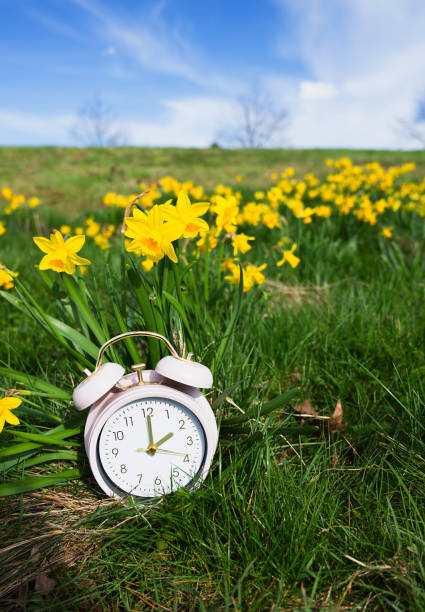 istock Alarm clock with daffodils flowers, switch to daylight saving time in spring, summer time changeover 2194935962