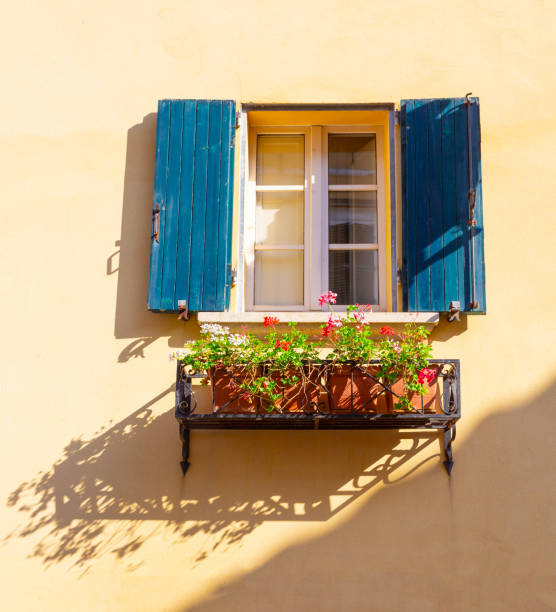Morning glory vine covered wall seen along the streets of St Martin de Re on the island of Île de Ré, France