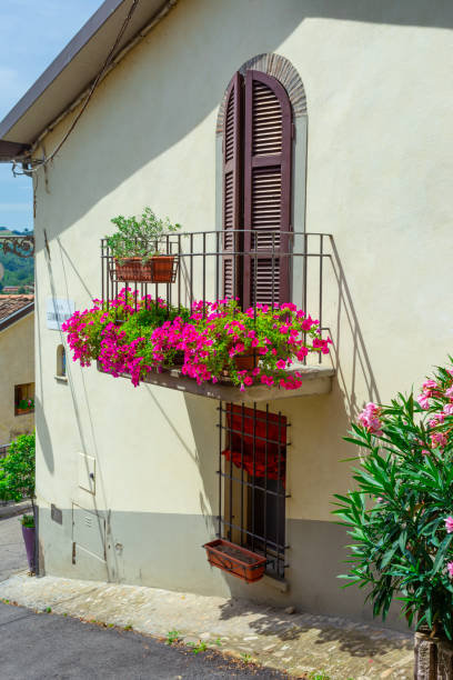 istock Window in an old house decorated with flower 2194940309