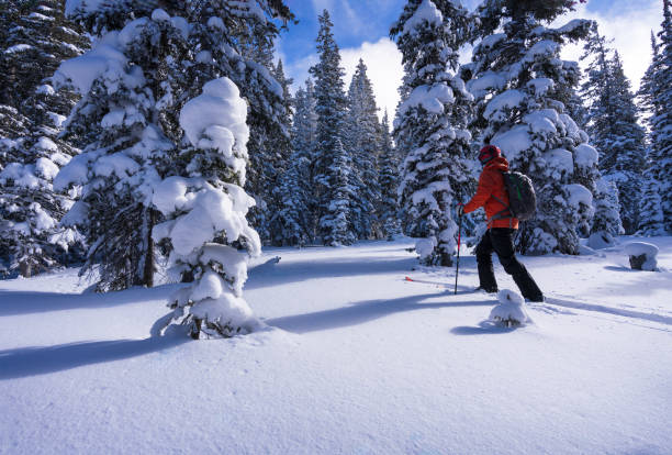 group of tourists high in the snowy mountains pour ski equipment splitboards. Winter activities, skitouring in mountains.