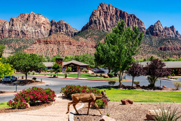 Zion National Park view, Utah, USA.