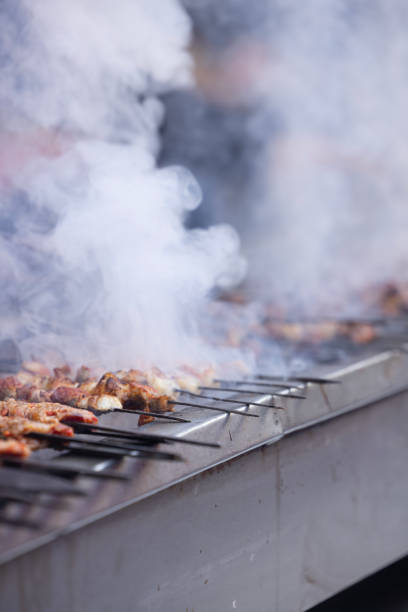 istock Grilled traditional Turkish liver kebab on a skewer 2194944038