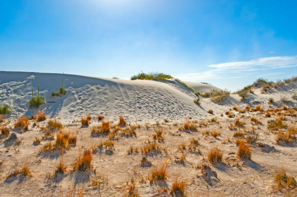 istock White Sands National Park 2194944474