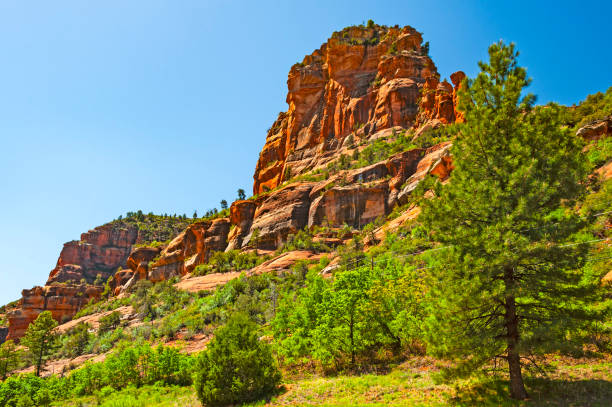 istock Slide Rock State Park in Sedona 2194944853