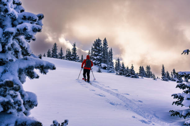 istock Man Exploring the High Mountains in Winter Ski Touring 2194944927