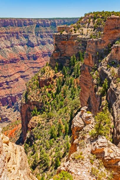 istock Visiting Grand Canyon National Park 2194944974