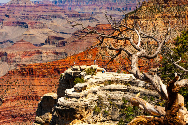 istock Visiting Grand Canyon National Park 2194944982