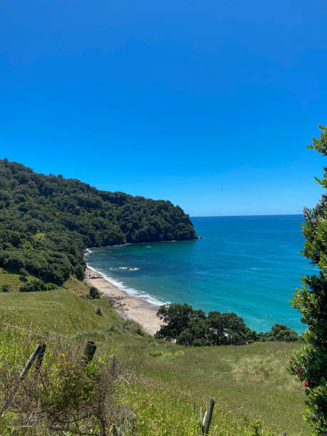 istock Homunga Bay - New Zealand 2194945247