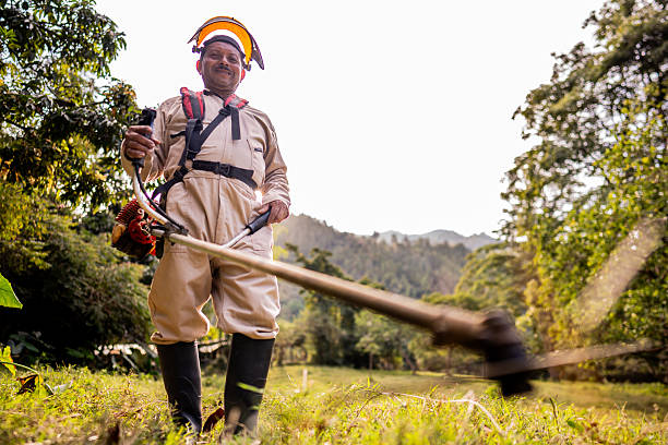 Portrait of a farmer on a farm