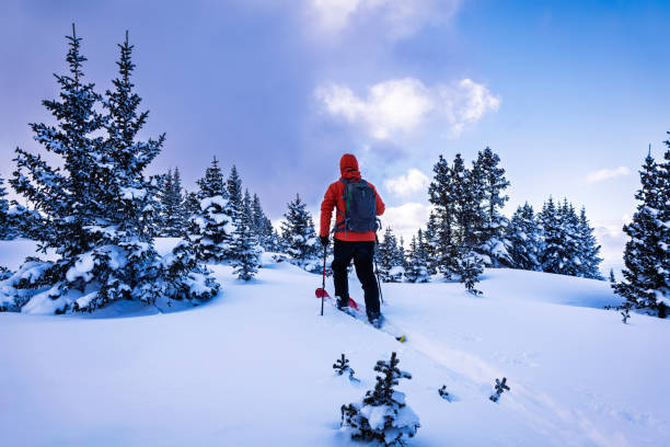 istock Man Exploring the High Mountains in Winter Ski Touring 2194945436