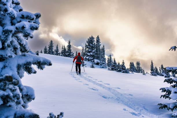 istock Man Exploring the High Mountains in Winter Ski Touring 2194946404