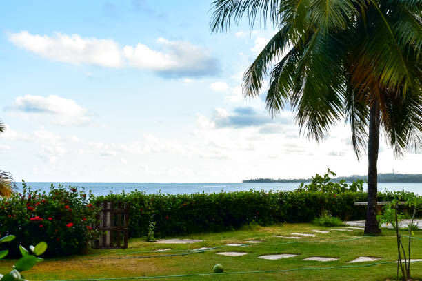 Japataringa beach, in Alagoas, Brazil.