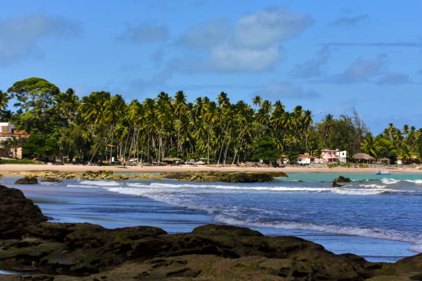istock Japataringa beach, in Alagoas, Brazil. 2194947482