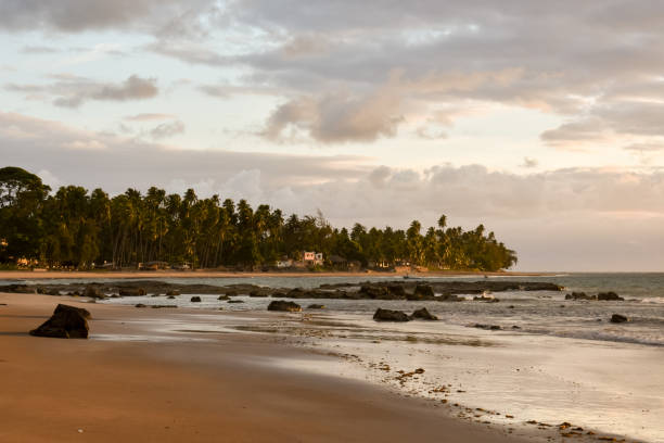 istock Sunrise on the beach at Japaratinga beach 2194947686