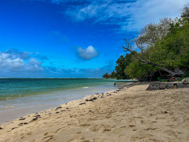 istock Paradise beach in Indian Ocean 2194951678