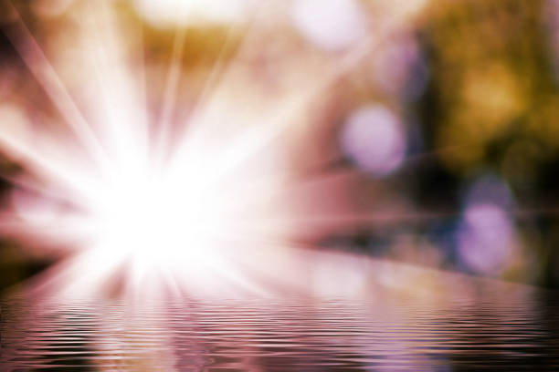 Sunlight bursts through the trees, casting bright reflections on the water's surface. The tranquil environment invites peace and connection with nature, making it an ideal retreat.