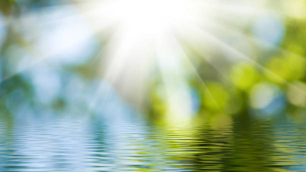 Bright sun rays pierce through lush green foliage, casting shimmering reflections on a calm water surface. This serene landscape evokes a sense of peace and harmony in nature.